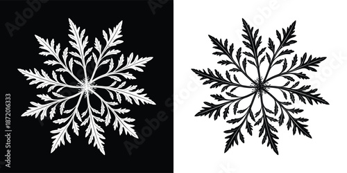 Symmetrical arrangement of deeply lobed botanical leaves displayed as radial monochrome silhouette graphics against contrasting backgrounds