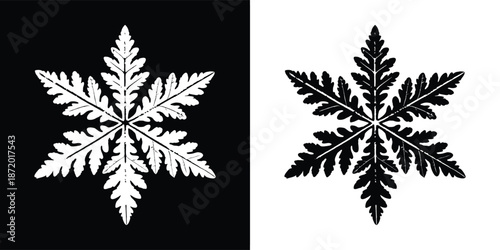 Six sided stylized snowflake design rendered in contrasting white on black and black on white graphic silhouettes
