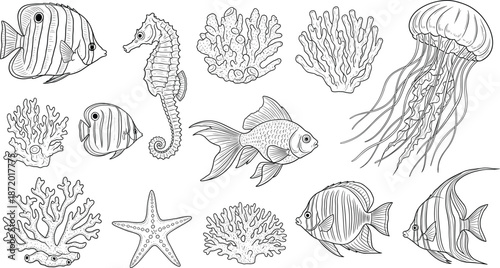 Vintage hand drawn sea life collection with jellyfish seahorse tropical fish starfish and coral reef elements for marine design