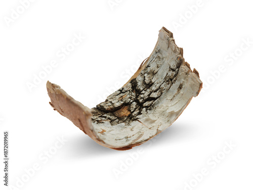 Vászonkép A piece of birch bark isolated on a transparent background