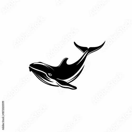 Powerful black and white whale illustration. Stylized vector graphic of a swimming marine mammal, oceanic creature design.