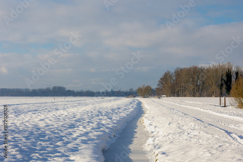 Valokuva Winter countryside landscape, White fluffy snow covered on green grass meadow and trees, Typical Dutch polder with flat and lowland, canals and ditch, Abcoude in the province of Utrecht, Netherlands