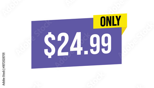 $24.99 only sale banner