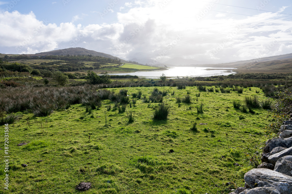 Obraz premium The view of the gardens of Rosleague Manor Hotel in Ireland