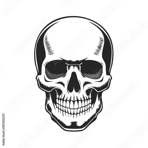 Monochrome human skull drawing, front view illustration on light background