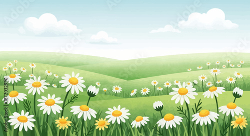 A serene daisy field illustration showcasing a peaceful rural landscape with white flowers and