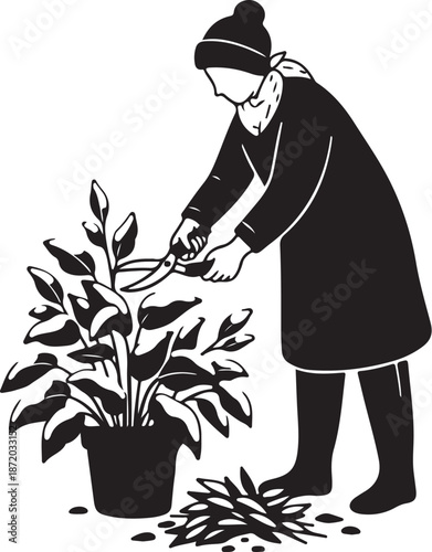 Woman pruning plant with scissors in a pot