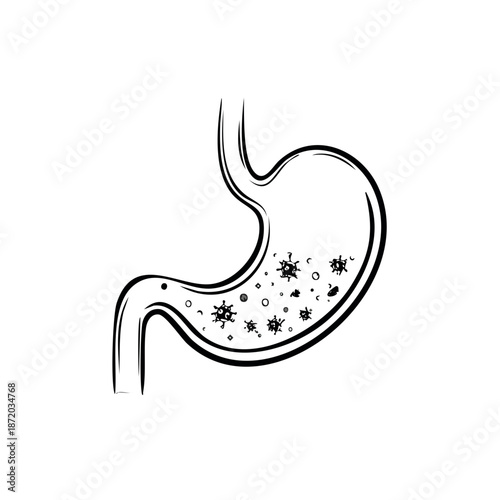 Human Stomach Sketch with Illness Bacteria Infection Inside Digestive System Anatomy