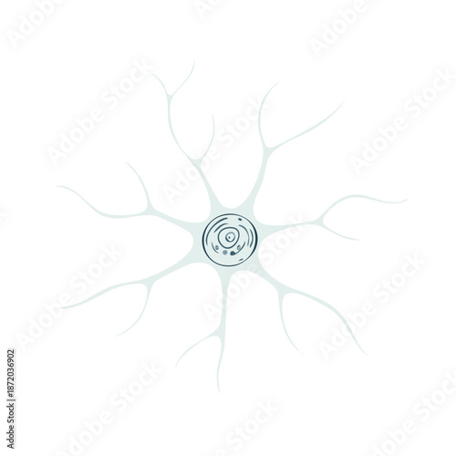 Neuron Cell Illustration: Vector Image of Nerve Cell Structure for Educational Medical Purposes
