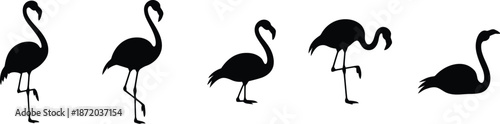 Assortment of flamingo silhouettes depicting various behaviors, including standing, feeding, flying, and resting suitable for artistic designs, educational materials, or decorative elements.
