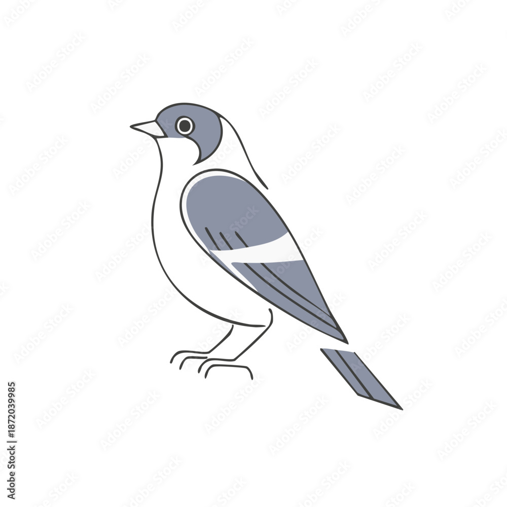 Obraz premium Stylized Gray and White Bird Illustration in Linear Design Isolated on White
