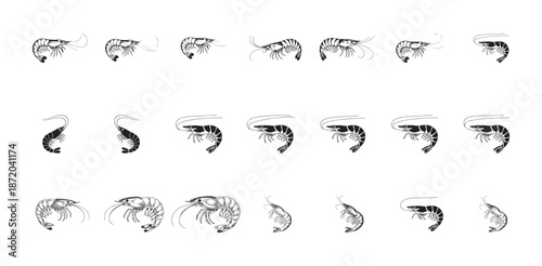 Different shrimp vector illustrations set various shapes and positions of marine animals