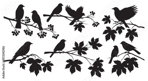 Collection of bird silhouettes perched on branches with leaves isolated on transparent background