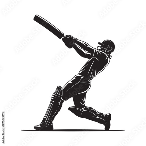 A silhouette of a cricket batsman preparing to hit the ball during a match