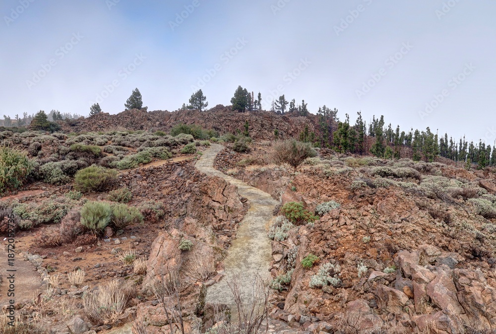 Obraz premium volcan Teide à Tenerife, archipel des canaries en Espagne