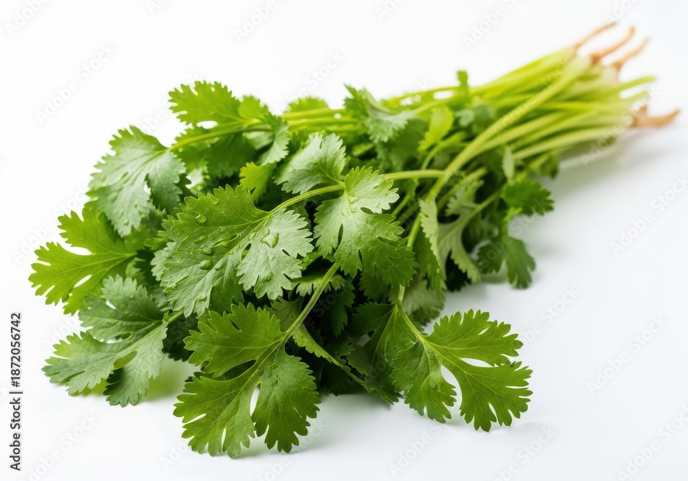 Fototapeta premium Fresh bunch of aromatic herbs lies diagonally across a clean white surface