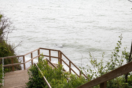 Steps at Mons Klint, Danmark