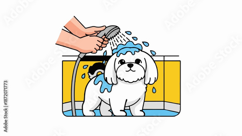 A person is showering a fluffy white dog with blue shampoo in a yellow tub