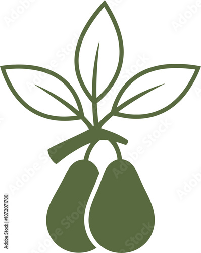 Green avocado fruit with leaves. Healthy food and natural ingredient concept. Vector illustration for product packaging, label, icon
