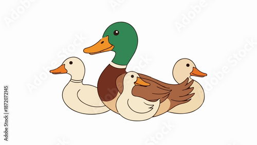 A mallard drake and three ducklings, rendered in a flat, cartoon style
