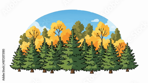 A row of evergreen trees stands before a backdrop of autumn foliage and a blue sky