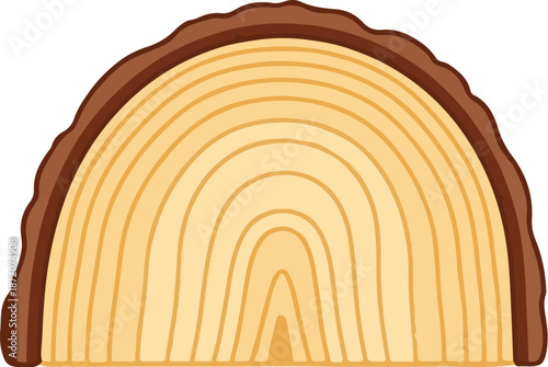 A cut tree trunk showing concentric rings of growth and a dark bark edge