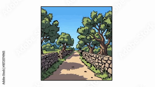 A dirt path winds between stone walls lined with olive trees under a clear sky