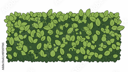 A dense, cartoonish green hedge with many oval-shaped leaves