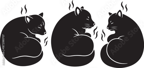 Cute black cats curled up in a row sleeping peacefully