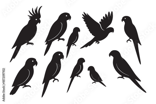 Diverse collection of parrot silhouettes featuring various species in different poses
