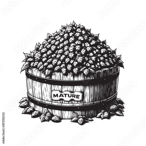 Mature hops in a wooden container