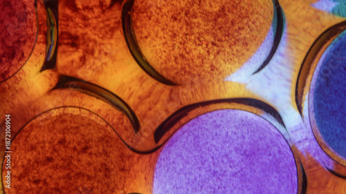 abstract background with bubbles, Vibrant Abstract Oil and Water Bubbles with Gradient Colors Background image