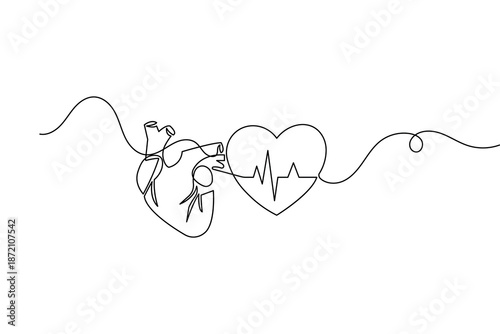 Continuous one line drawing of a human heart for minimalist biology and cardiology design