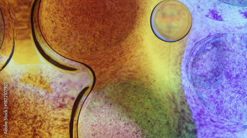 Oil bubbles floating in colored water - Macro