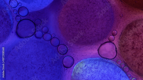 Oil bubbles floating in colored water - Macro