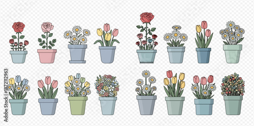 Collection of various potted flowers and plants, including roses, tulips, and daisies, in different colored pots, on a transparent background.