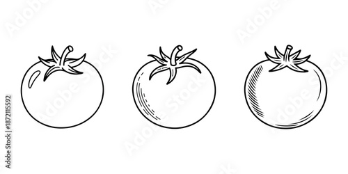 Tomato line icon set, fresh vegetable for cooking and healthy eating vector illustration