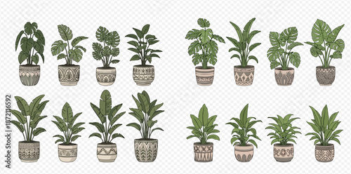 Collection of various potted houseplants with green leaves and decorative planters, isolated on a transparent background.