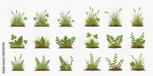Set of green grass and plants with various foliage types growing from the ground, isolated on a transparent background.