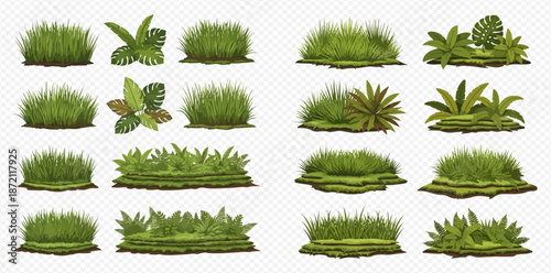 Set of green grass and tropical plants isolated on transparent background, realistic vector illustration of natural elements.