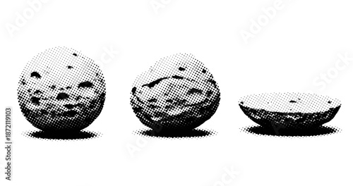 Halftone illustration of whole and sliced kiwi fruits in black and white