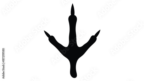 A striking bird footprint impression with three toes a dark silhouette