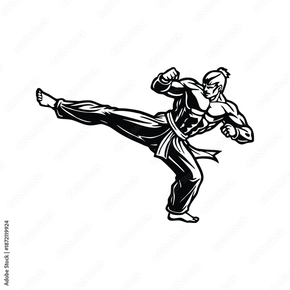 Fototapeta premium Martial arts kick silhouette
