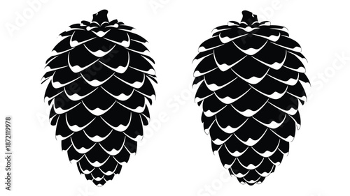 Two detailed pinecones presented in a striking black and white silhouette