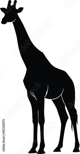 Elegant giraffe silhouette, wildlife symbol on a conceptual design