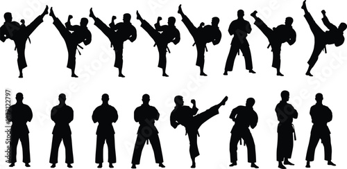 Black martial arts silhouettes collection showing karate fighter poses, high kicks, standing positions and taekwondo combat moves for sports graphic design.