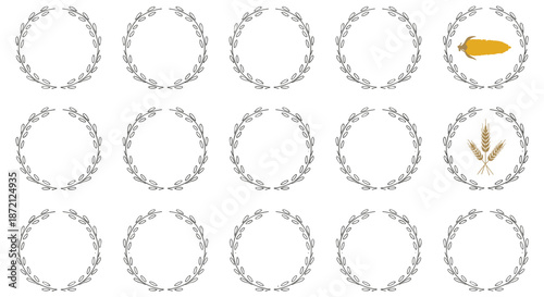 Collection of elegant hand drawn circular botanical frames including special designs featuring ripe corn and golden wheat ears for harvest themes.