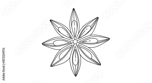 Detailed black and white outline illustration of a single star anise pod used as a fragrant spice in cooking and traditional herbal medicine.