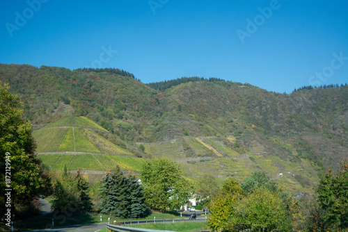 Vineyards on rolling hills under clear blue sky