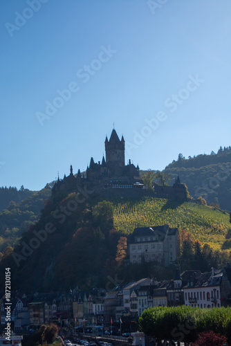 Castle on a Hill Surrounded by Vineyards